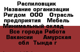 Распиловщик › Название организации ­ Ригдом, ООО › Отрасль предприятия ­ Мебель › Минимальный оклад ­ 1 - Все города Работа » Вакансии   . Амурская обл.,Тында г.